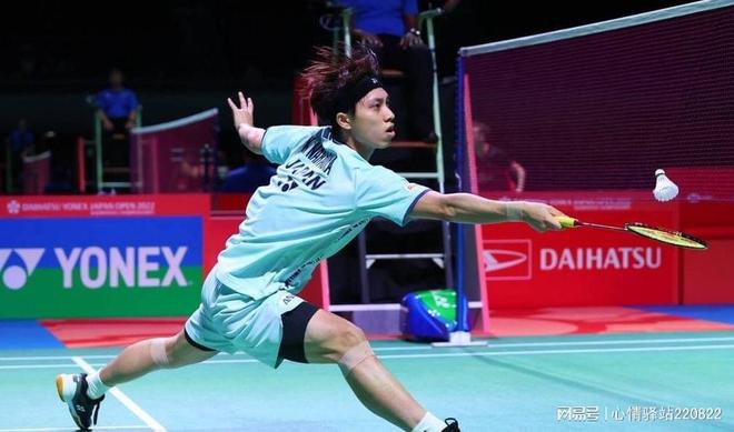 观赏性的配 观赏性的配